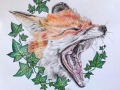 Fuchs #1, Aquarellbuntstifte, Wasserstift und Pigment Liner auf Aquarellpapier, 29,5 x 29,5cm.