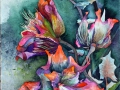 Die Blüten des Sebnitzer Flussteufels (C) Aquarell von Frank Koebsch k