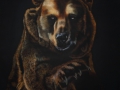 Grizzly Baer 015, Airbrush